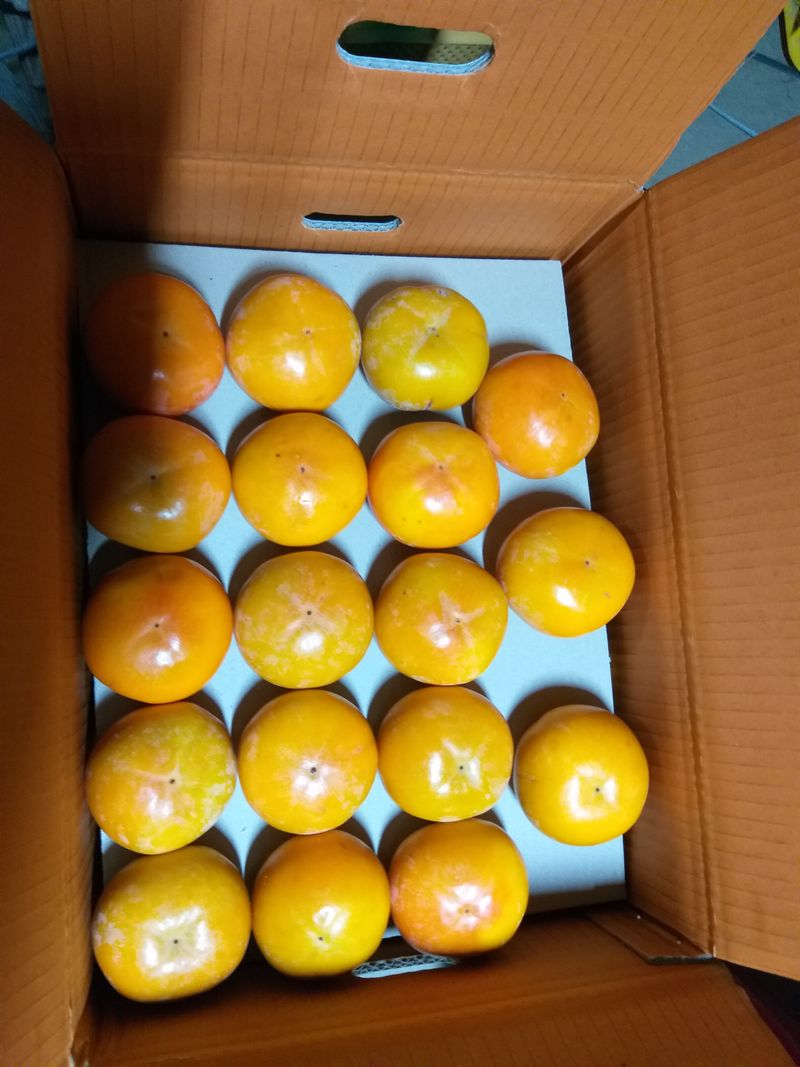 장터 상품 [단감 10키로 55개 짜리 23000] 썸네일