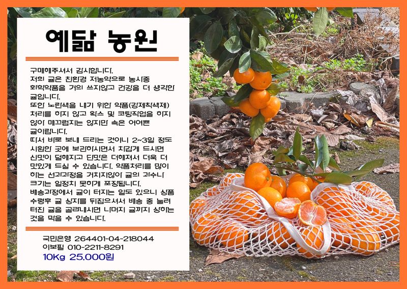 아브라함 (심양)예닮동산님의 장터 판매 상품 [제주조생감귤 10키로1박스 20000] 첨부 사진