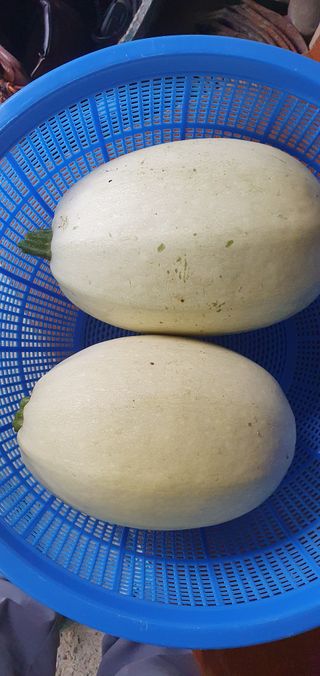 권길수님의 작성글 사진