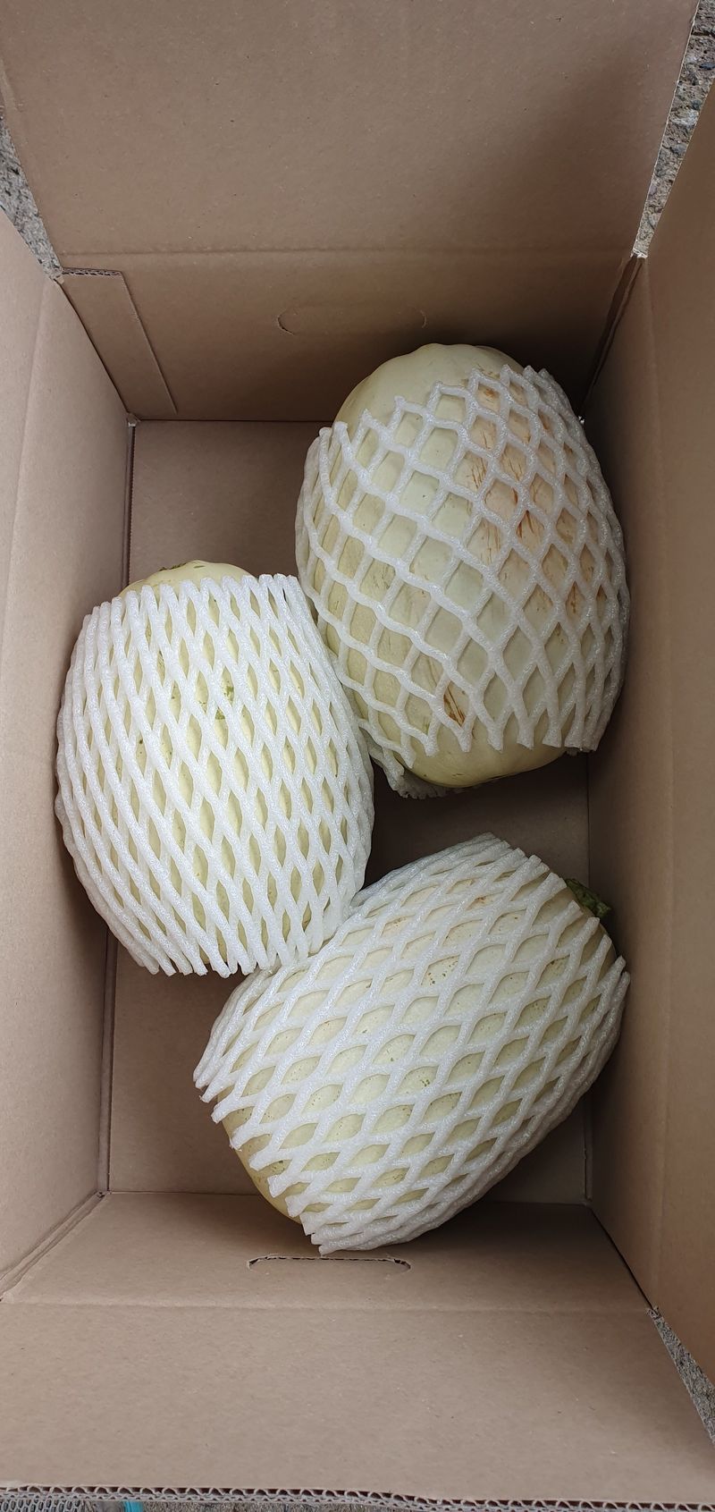 권길수님의 장터 판매 상품 [국수호박 5키로 주문] 첨부 사진