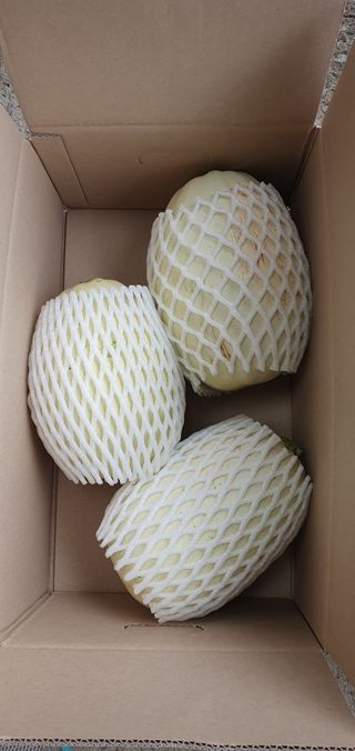 권길수님의 작성글 사진