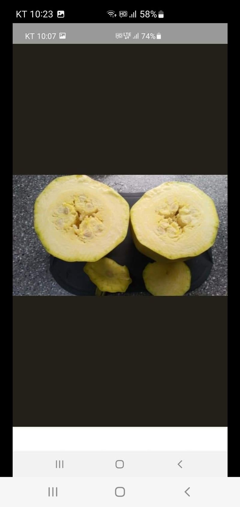 권길수님의 장터 판매 상품 [국수호박 5키로 주문] 첨부 사진