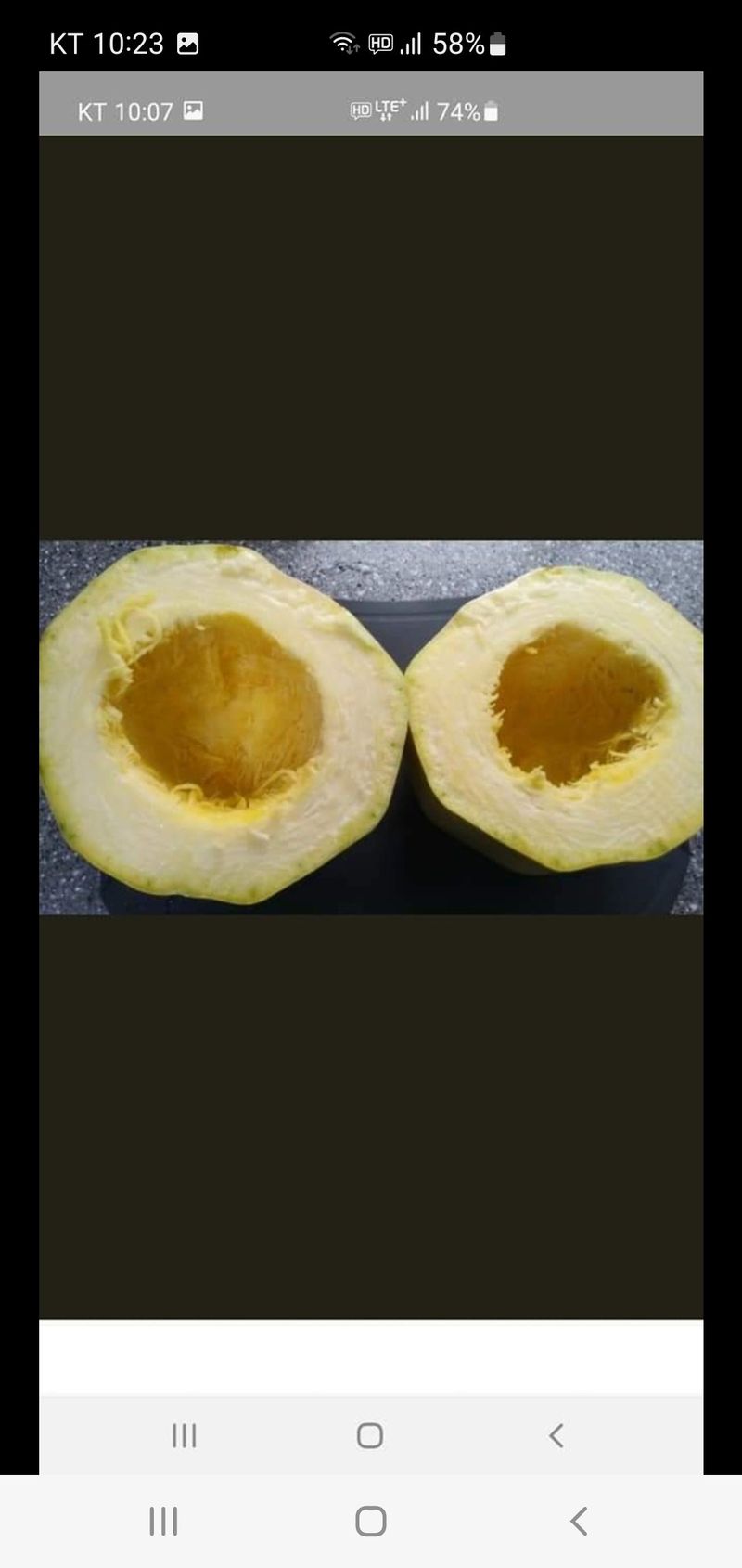 권길수님의 장터 판매 상품 [국수호박 5키로 주문] 첨부 사진