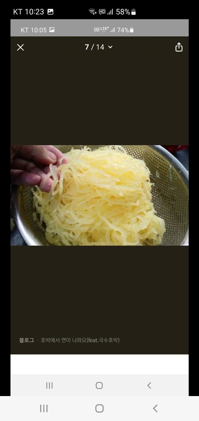 권길수님의 장터 판매 상품 [국수호박 5키로 주문] 첨부 사진