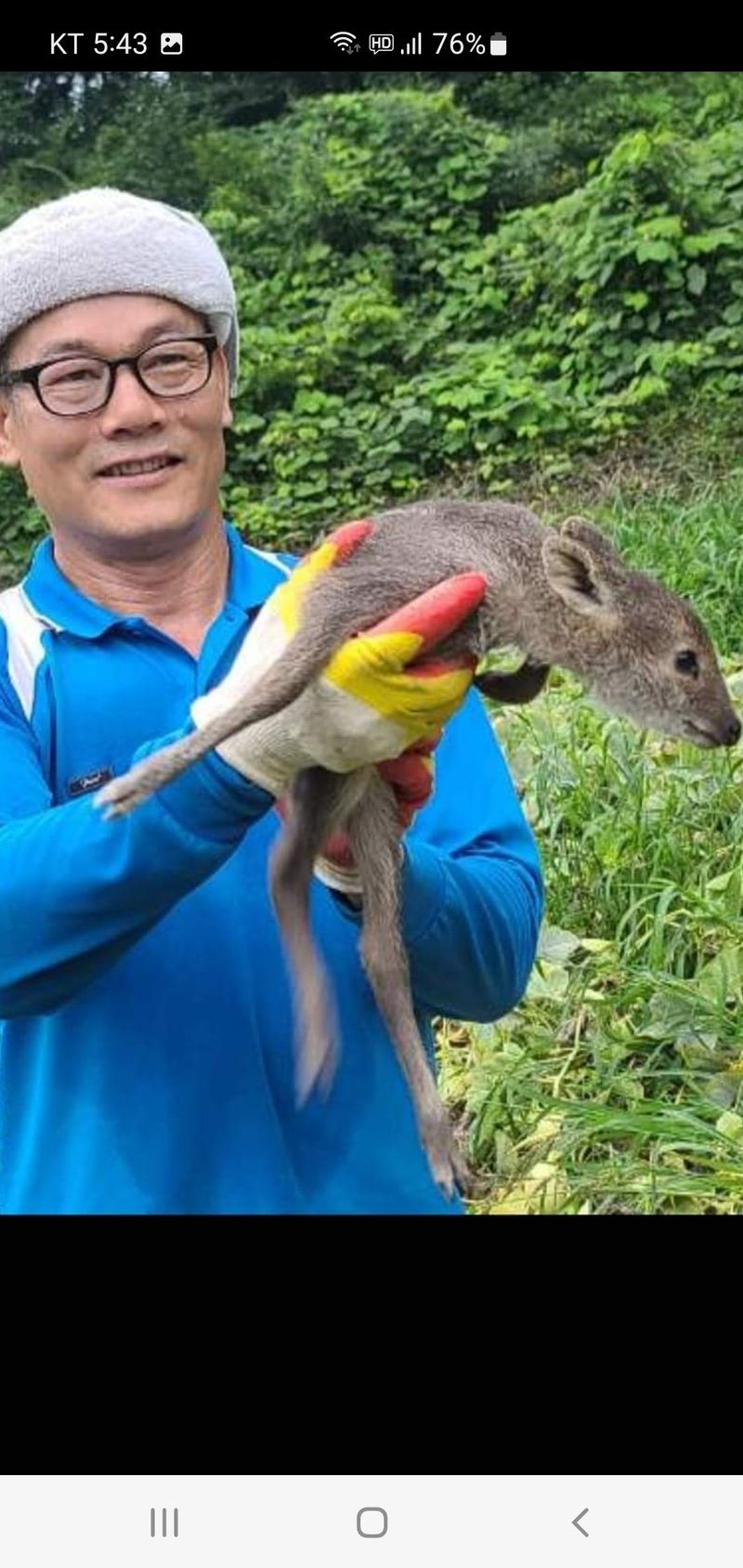 권길수님의 장터 판매 상품 [국수호박 5키로 주문] 첨부 사진