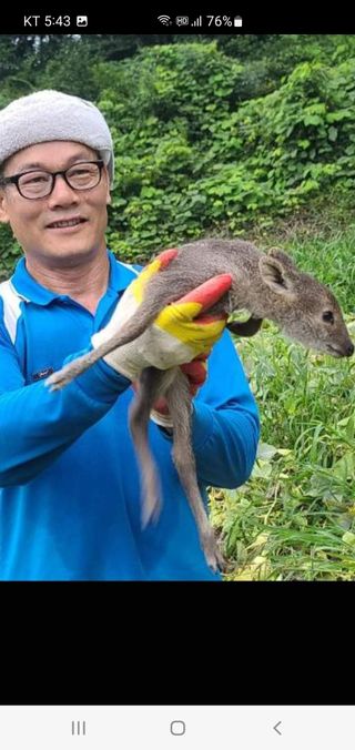권길수님의 작성글 사진