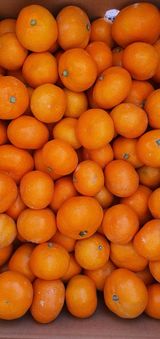 팜모닝 · 게시글 이미지