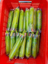 팜모닝 호박·자유게시판 게시글 이미지