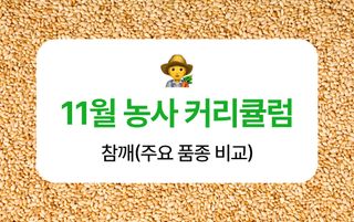 ์ฐธ๊นจ ๋์ฌ๋์ฐ๋ฏธ๋์ ์ฐธ๊นจ ยท ๋์ฌ๊ธธ์ก์ด ์์ฑ๊ธ ์ฌ์ง