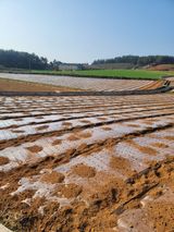 팜모닝 양파·자유게시판 게시글 이미지