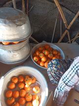 팜모닝 · 게시글 이미지