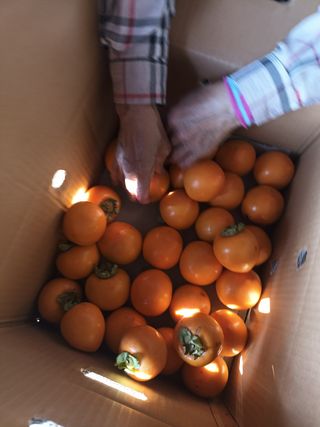 노상천님의 작성글 사진