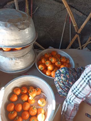 노상천님의 작성글 사진