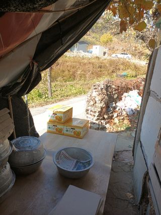 노상천님의 작성글 사진