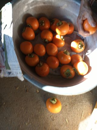 노상천님의 작성글 사진