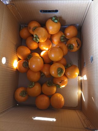 노상천님의 작성글 사진