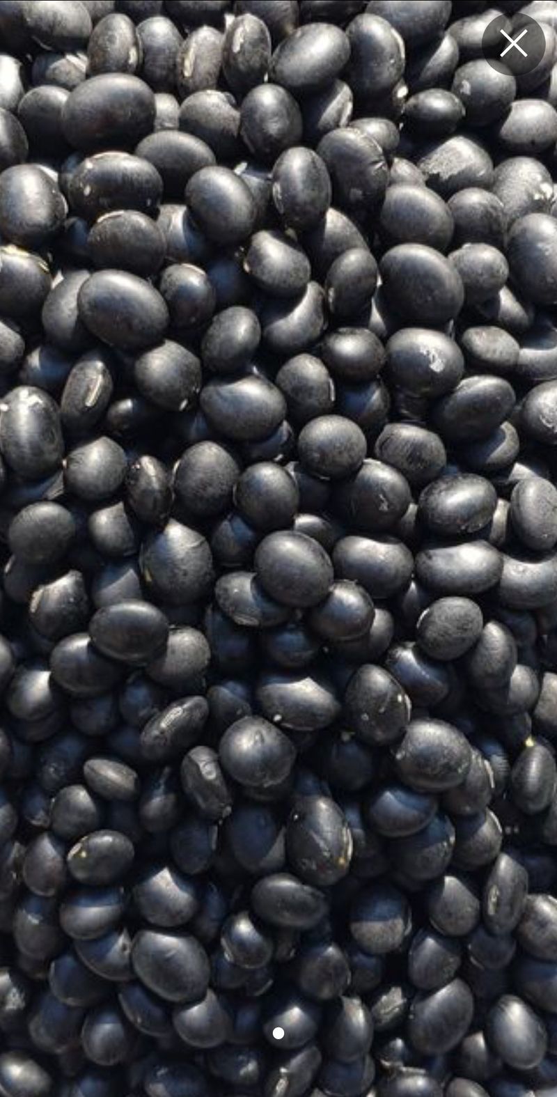 장터 상품 [달콤한 귀족서리태 1키로마감 ] 썸네일