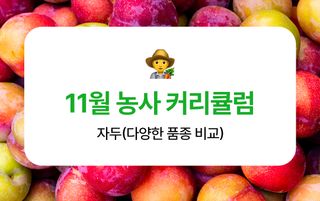 자두 농사도우미님의 자두 · 농사길잡이 작성글 사진