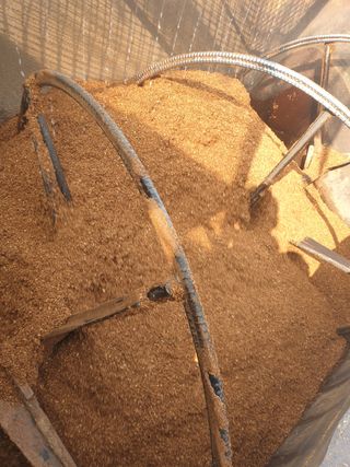 마늘19357님의 버섯 · 일상 작성글 사진