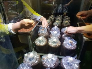 마늘19357님의 버섯 · 일상 작성글 사진