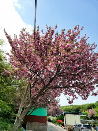 안달현님의 기타작물 · 자유게시판 작성글 사진