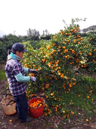 옥이네 농장님의 작성글 사진