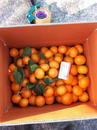 옥이네 농장님의 작성글 사진