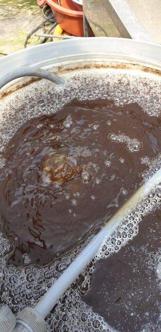 알 수 없음님의 고추 · 토양준비 작성글 사진