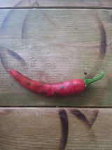 팜모닝 고추·병해충상담 게시글 이미지