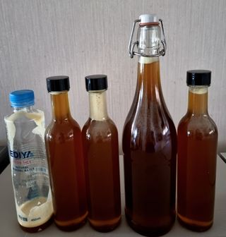 밝은숲님의 들깨 · 자유게시판 작성글 사진