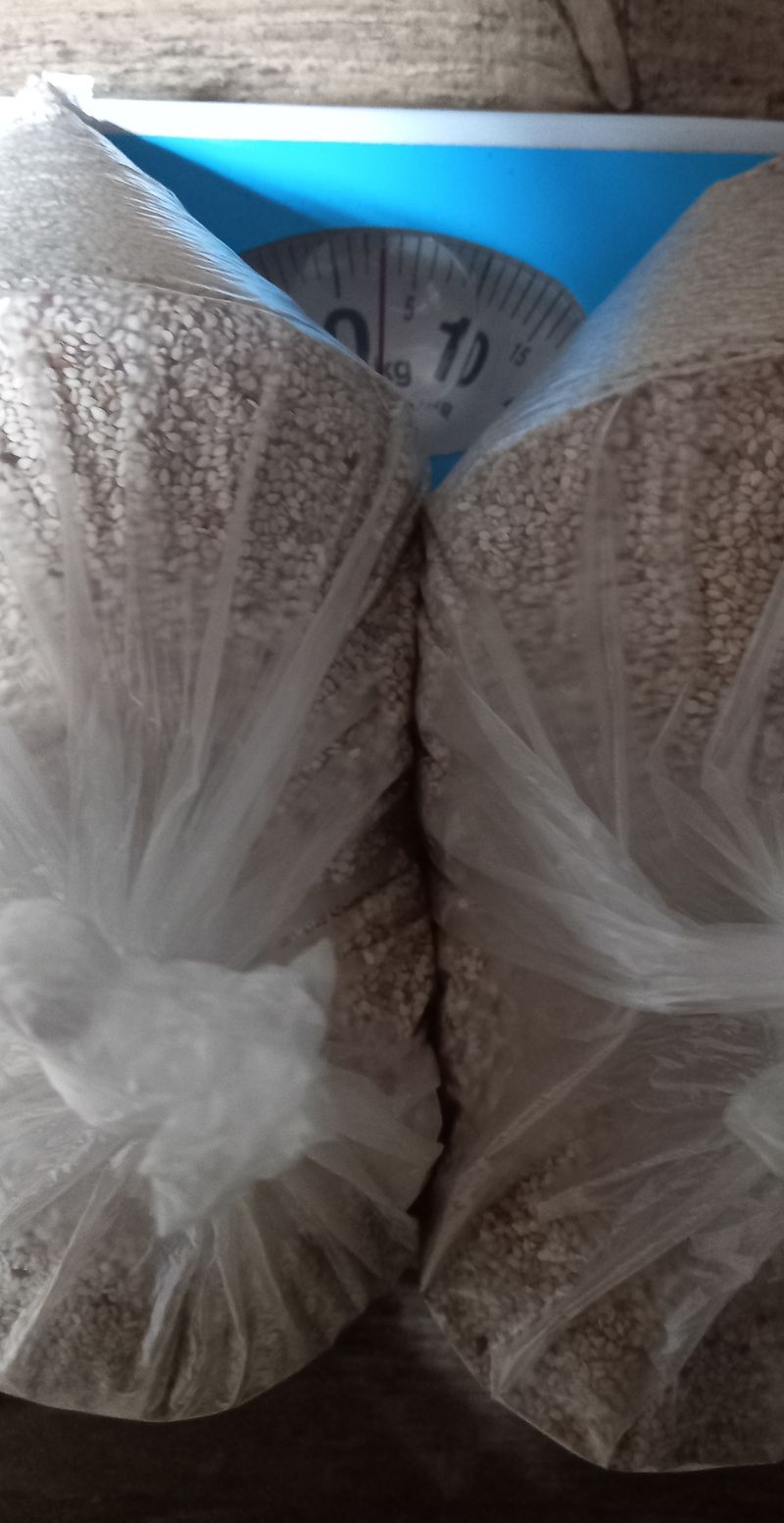 장터 상품 [참깨(판매완료) 30000] 썸네일