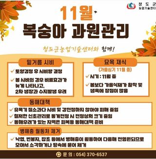 복숭아 농사도우미님의 복숭아 · 농사길잡이 작성글 사진