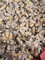 팜모닝 기타작물·자유게시판 게시글 이미지