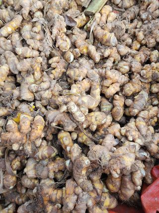 최호란님의 기타작물 · 자유게시판 작성글 사진