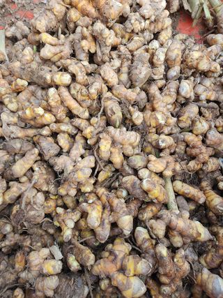 최호란님의 기타작물 · 자유게시판 작성글 사진