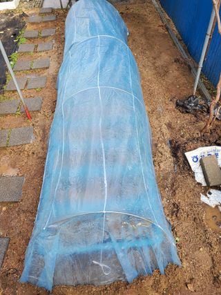 서정훈 님의 상추 · 자유게시판 작성글 사진