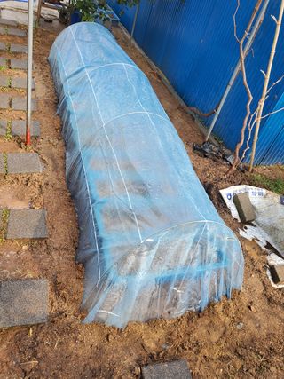 서정훈 님의 상추 · 자유게시판 작성글 사진