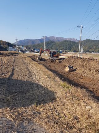 국가대표님의 벼 · 자유게시판 작성글 사진