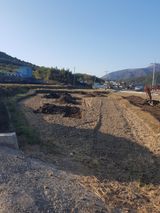 팜모닝 벼·자유게시판 게시글 이미지