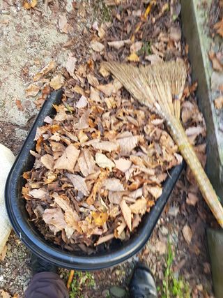 윤미선(농경채인증님의 기타작물 · 자유게시판 작성글 사진