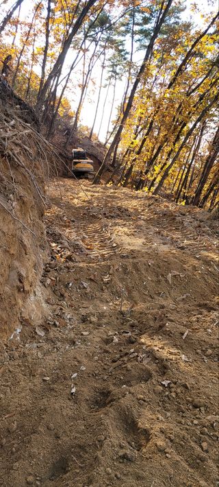 진상빈님의 기타작물 · 자유게시판 작성글 사진