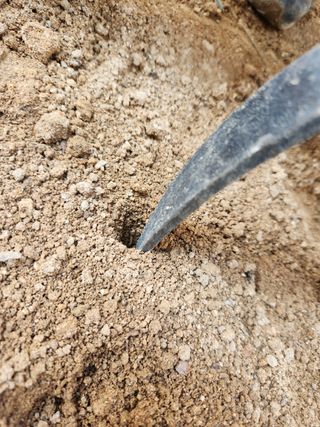 진상빈님의 기타작물 · 자유게시판 작성글 사진