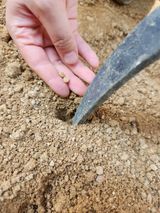 팜모닝 기타작물·자유게시판 게시글 이미지