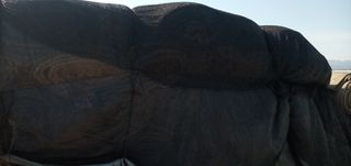 달콤한메론님의 작성글 사진