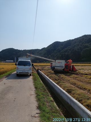 황대헌님의 벼 · 자유게시판 작성글 사진