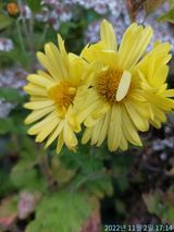 팜모닝 벼·자유게시판 게시글 이미지