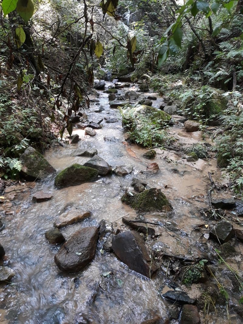 장터 상품 [메주두부용 햇콩 15k] 썸네일