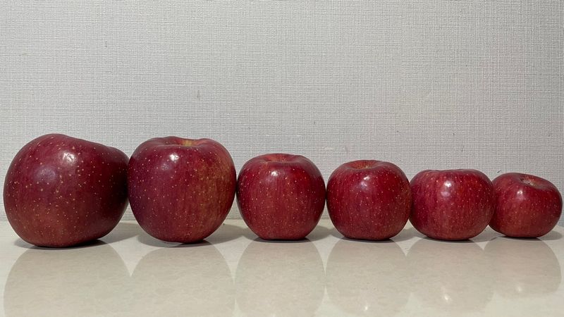 나실농원님의 장터 판매 상품 [경북문경 부사] 첨부 사진