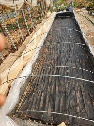 Preotu님의 기타작물 · 자유게시판 작성글 사진