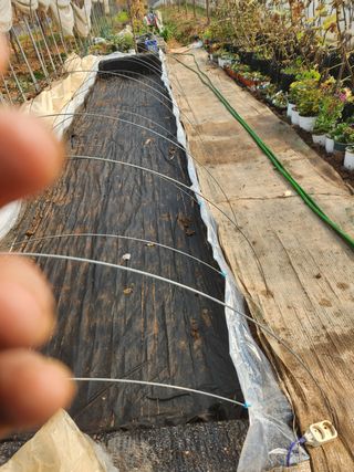 Preotu님의 기타작물 · 자유게시판 작성글 사진